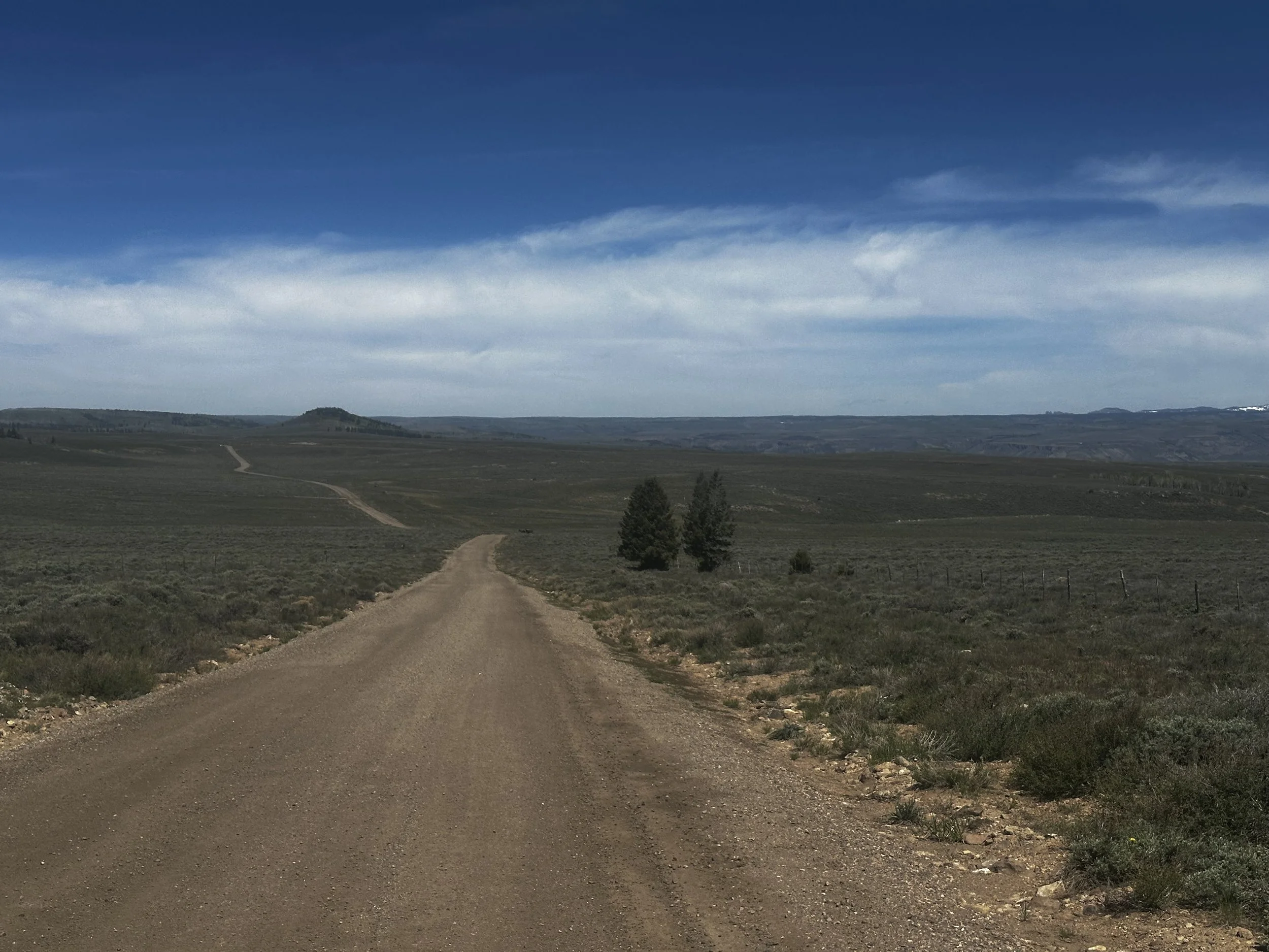 A dirt road stretches through an open landscape with sparse vegetation, a few trees, and distant hills under a blue sky with clouds.