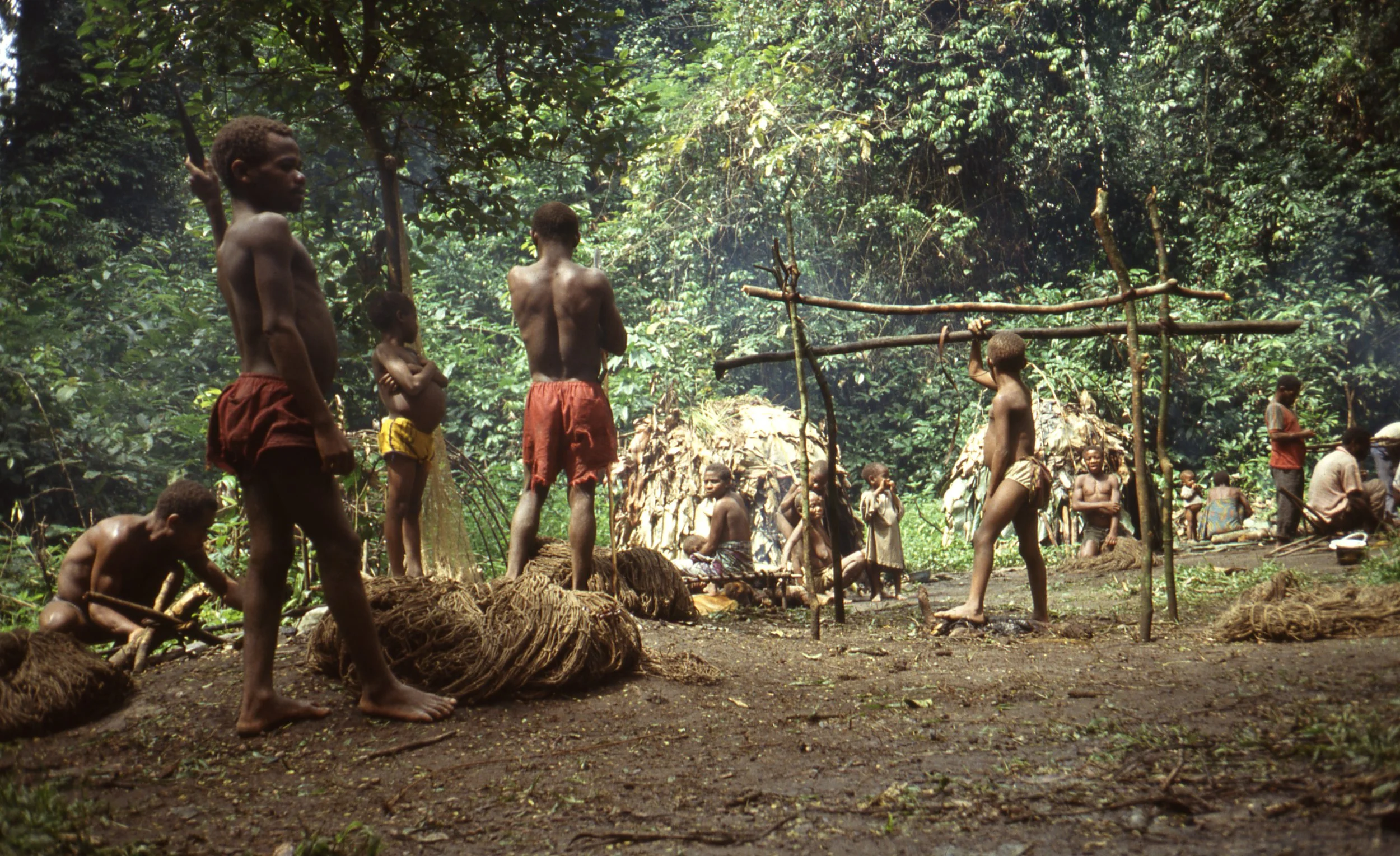 Africa_DRC_Zaire_pygmycamp.jpg