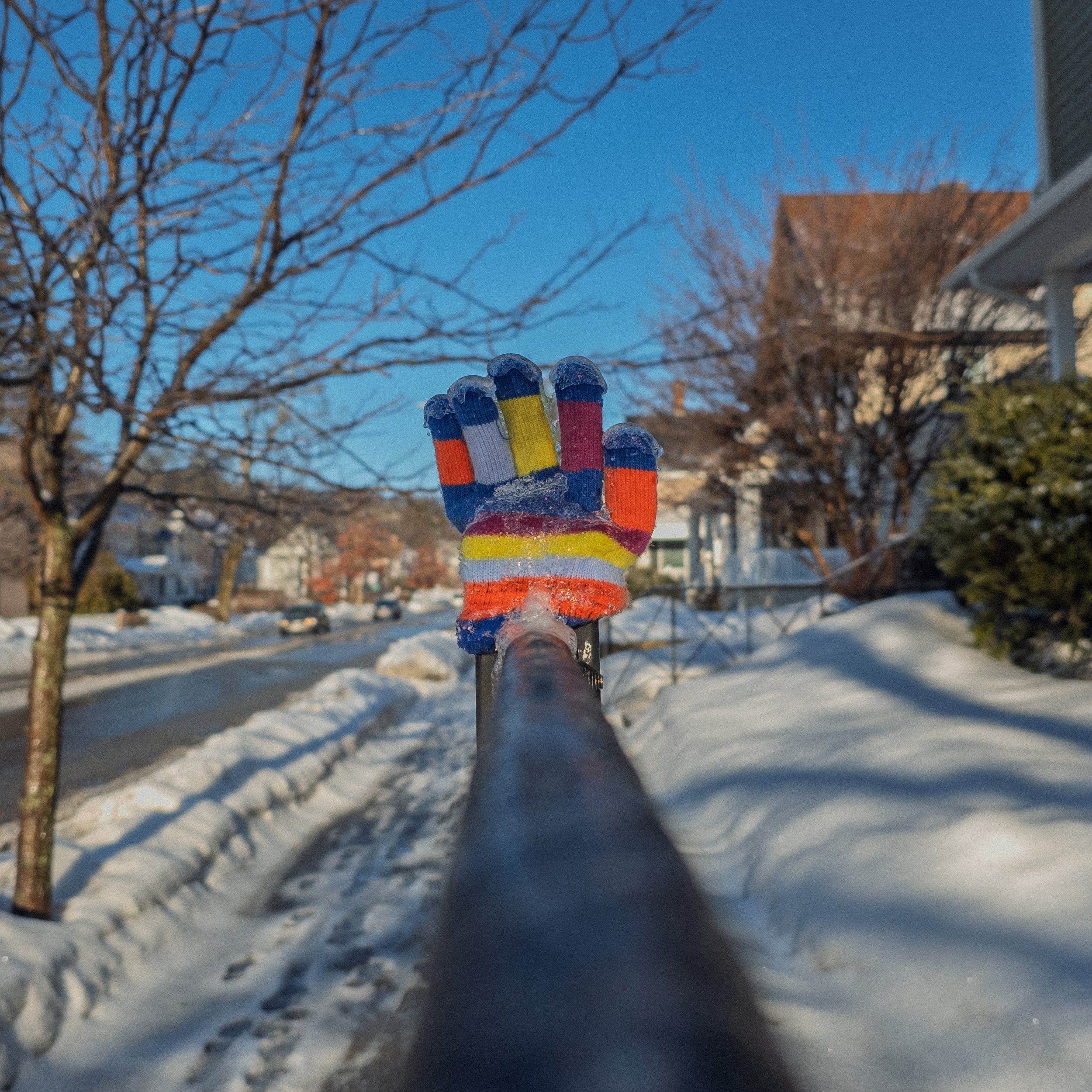 2026 Frozen Glove.jpg