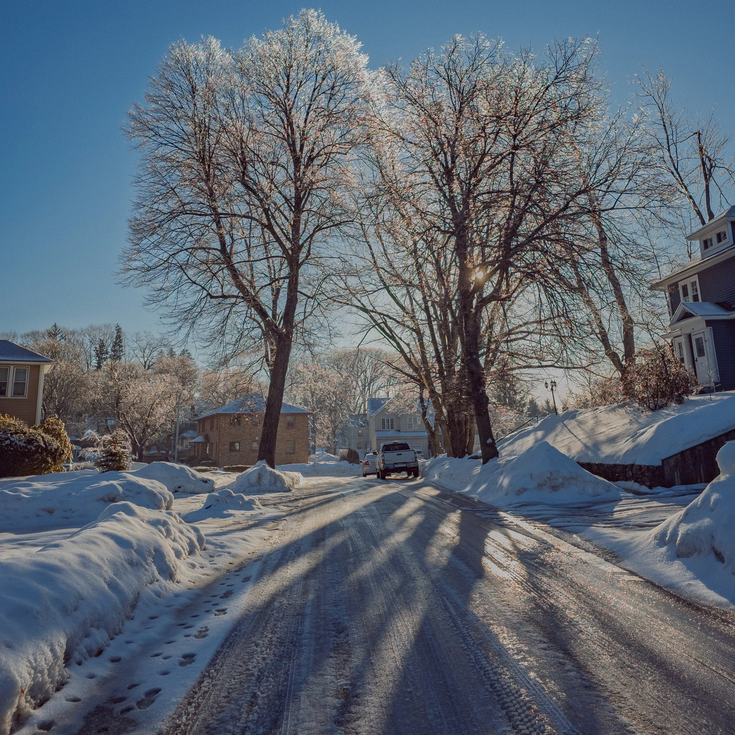 2026 Rain from Trees.jpg