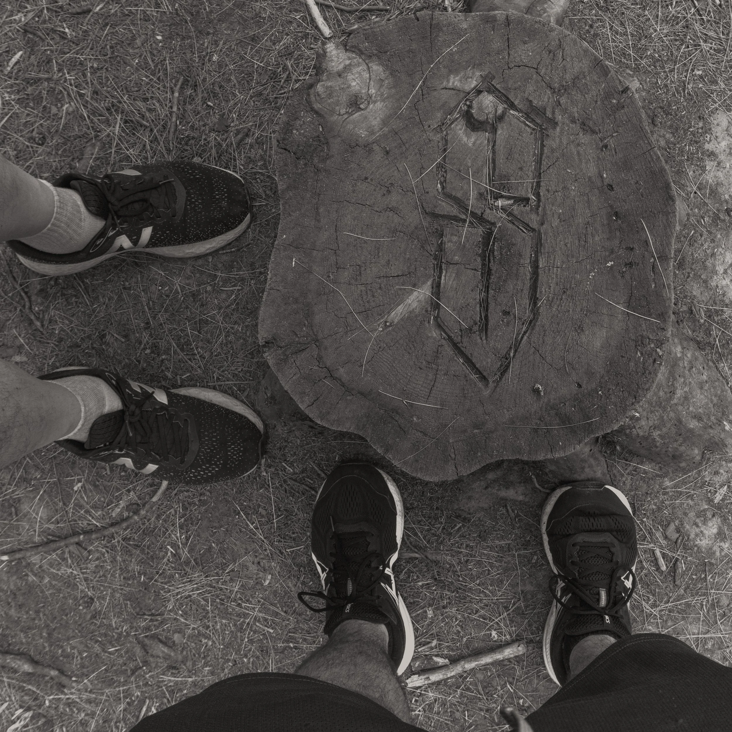 2022 S carved into a stump.jpg