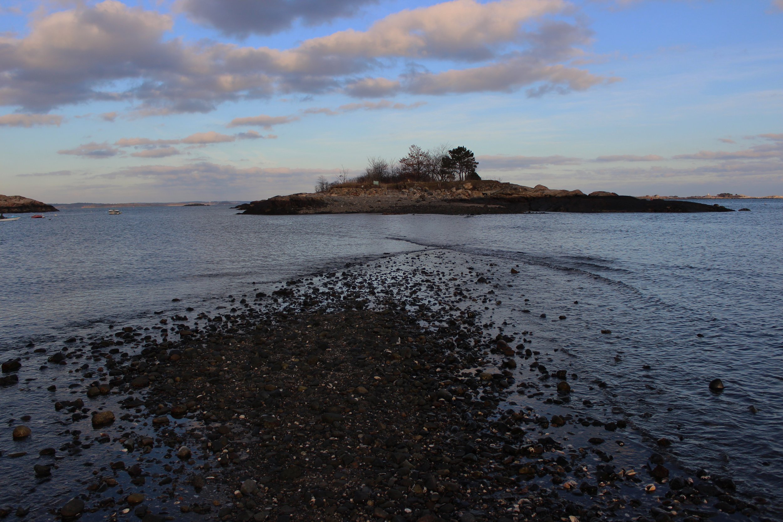 2011 Tide arrives.jpg