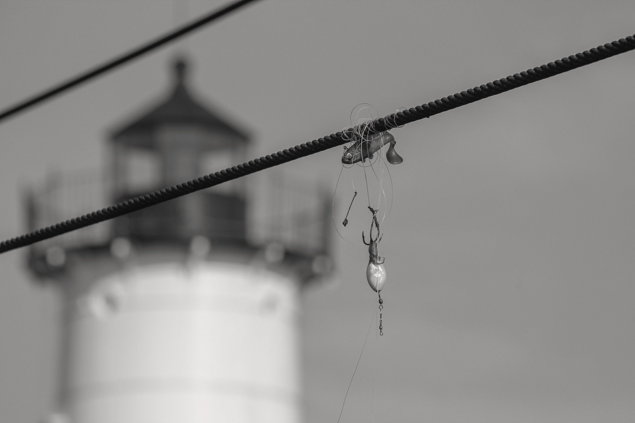 2012 Maine Coast Caught Tackle.jpg