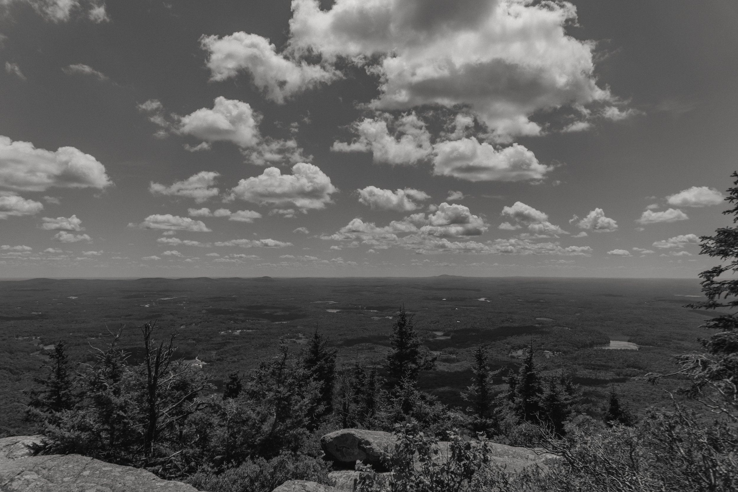 2020 Looking down from the mountain.jpg