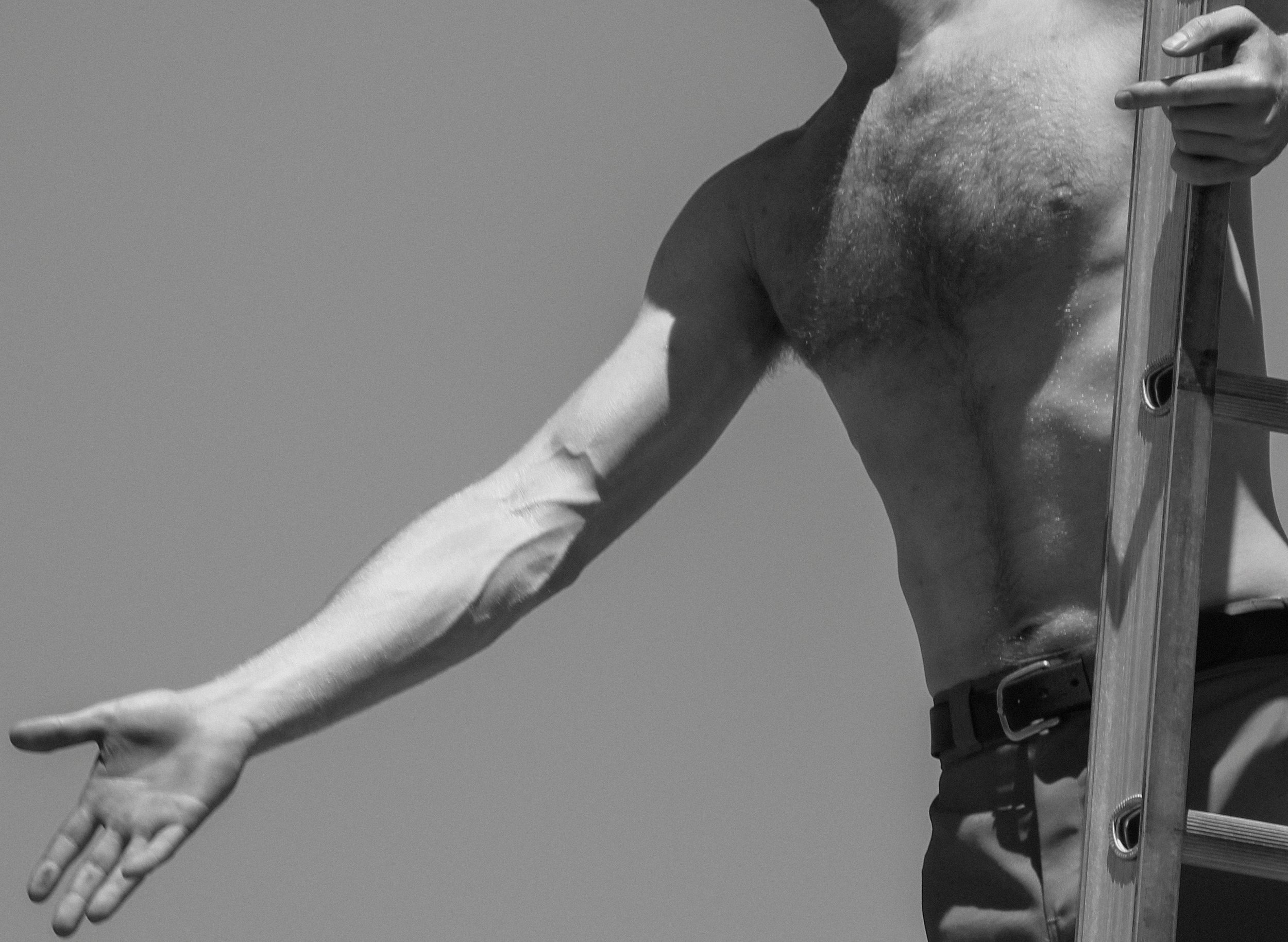 2024 Man Upon Ladder