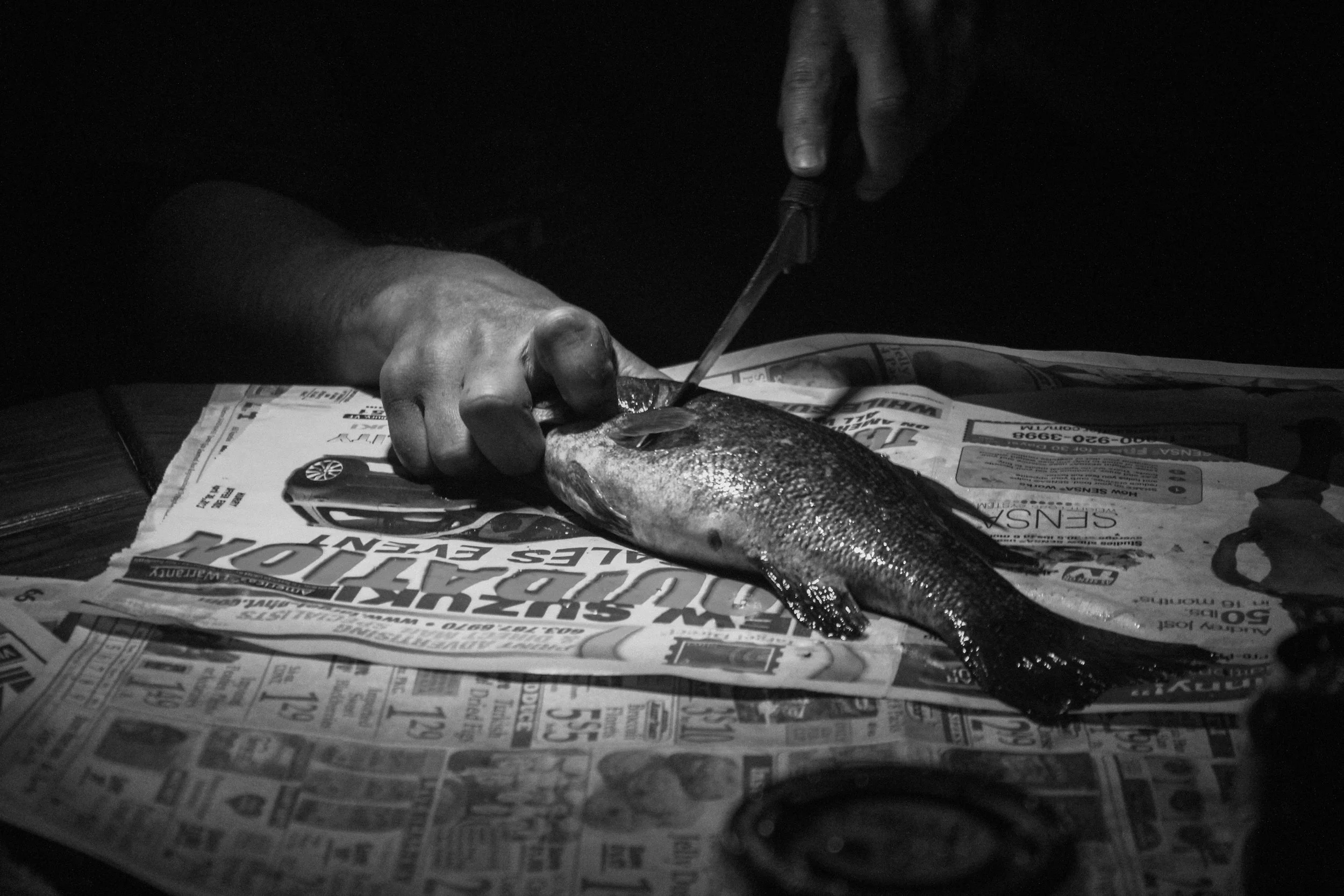 2013 Birthday Fish.jpg