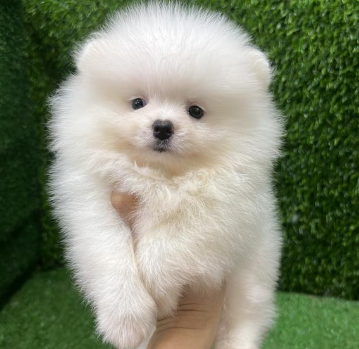 Screenshot 2026-02-11 153613.png