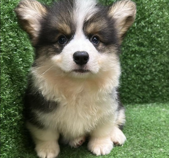 Screenshot 2026-02-11 161405.png