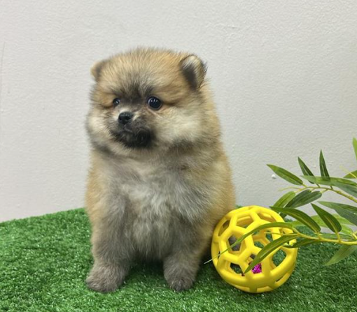 Screenshot 2026-02-10 145938.png