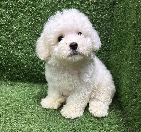 Screenshot 2026-02-11 162134.png