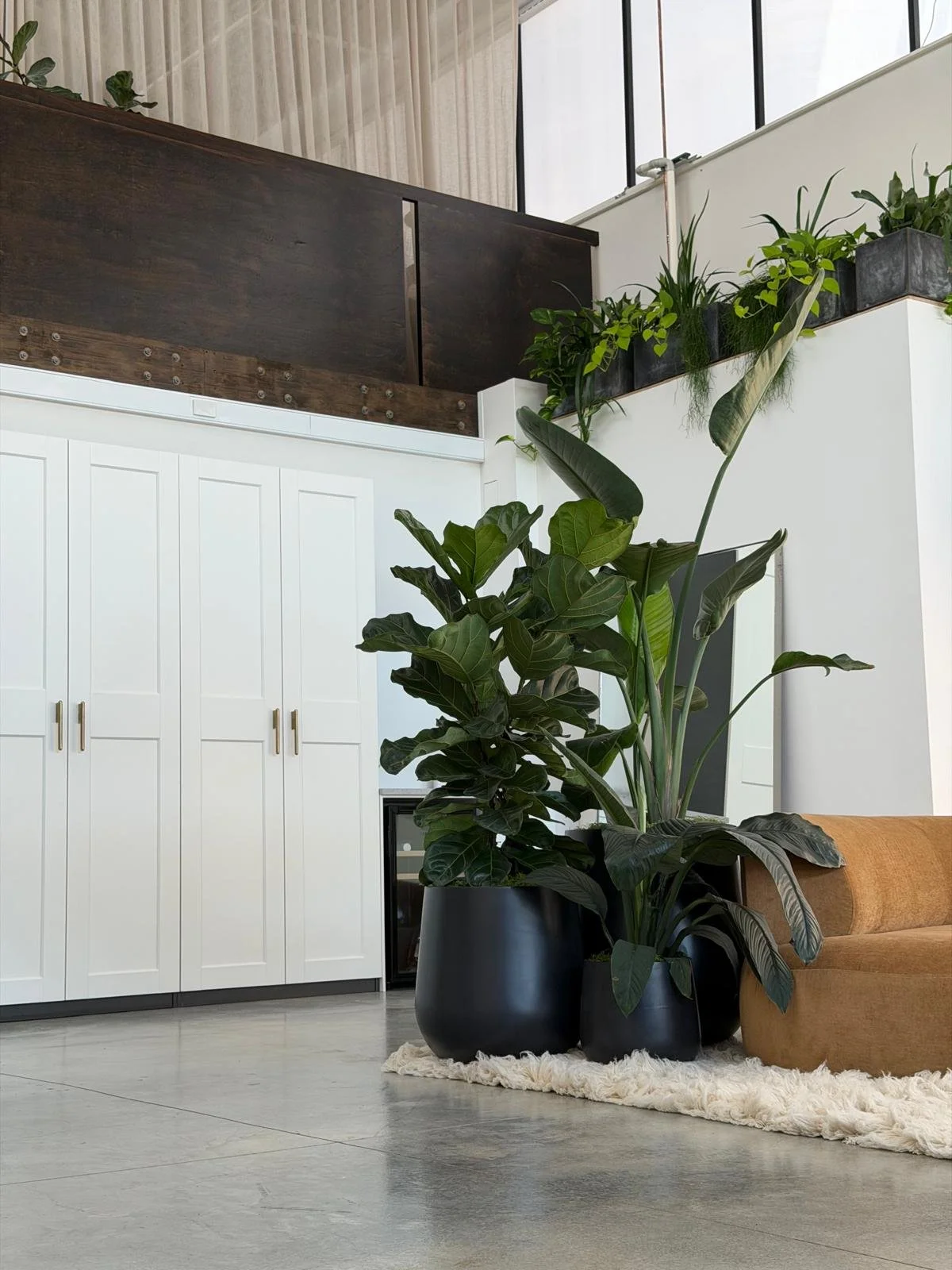 Indoor space with large potted plants, white cabinetry, a beige sofa, and a cream-colored rug on a polished concrete floor. Several smaller potted plants are on a higher shelf, and a large window with vertical blinds is in the background.