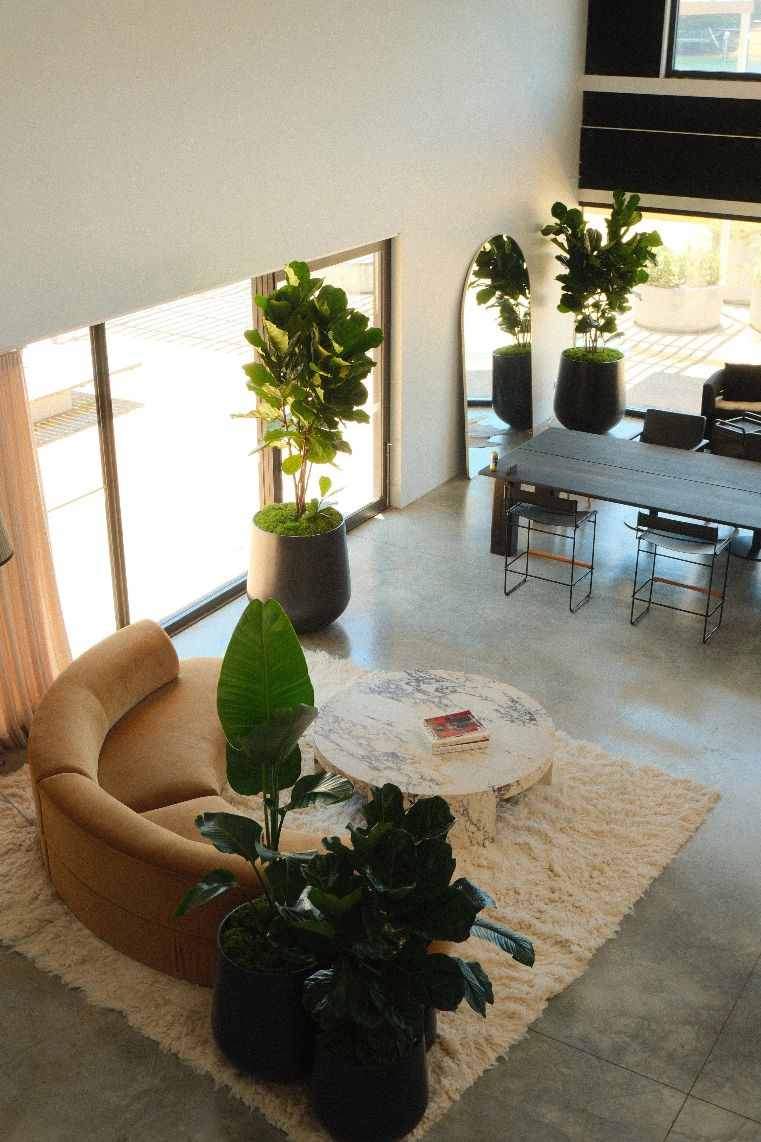 Modern living room with beige curved sofa, white shag rug, marble coffee table, large indoor plants in black pots, floor-to-ceiling windows, and a dining table with chairs.