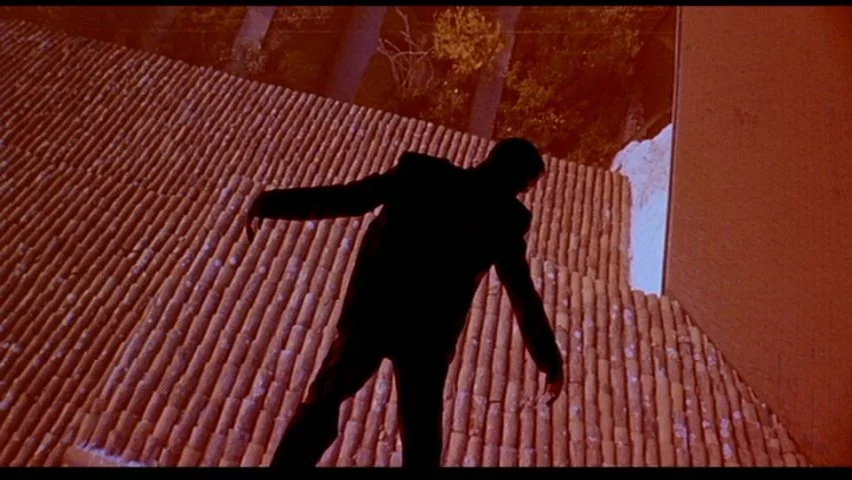 Leaving Scottie in the Dark