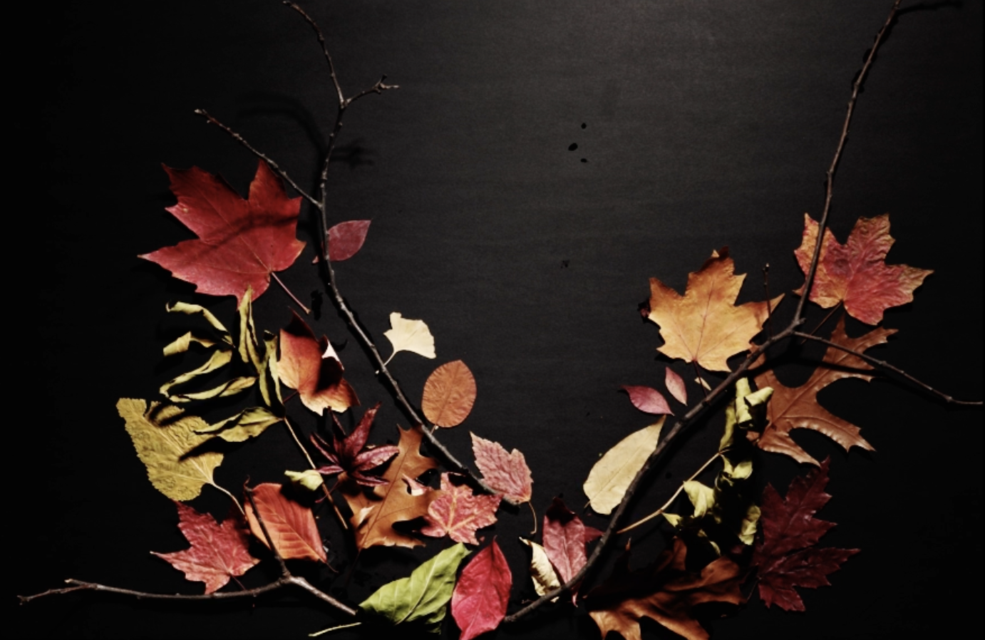 To Grow as a Tree Does