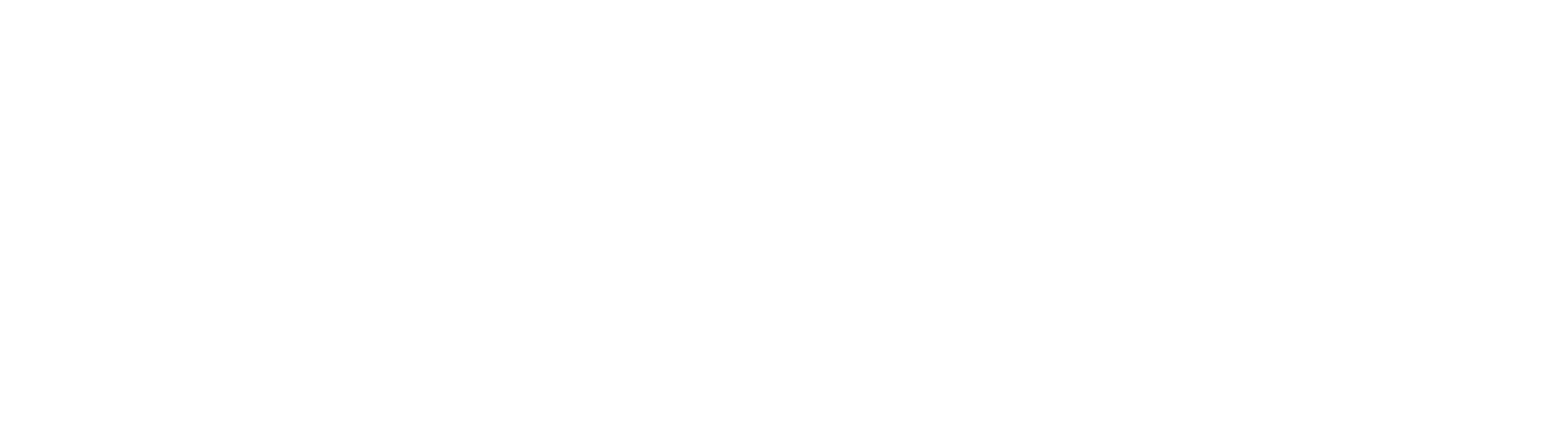 Black background with large white text reading, 'Palm Collective'.