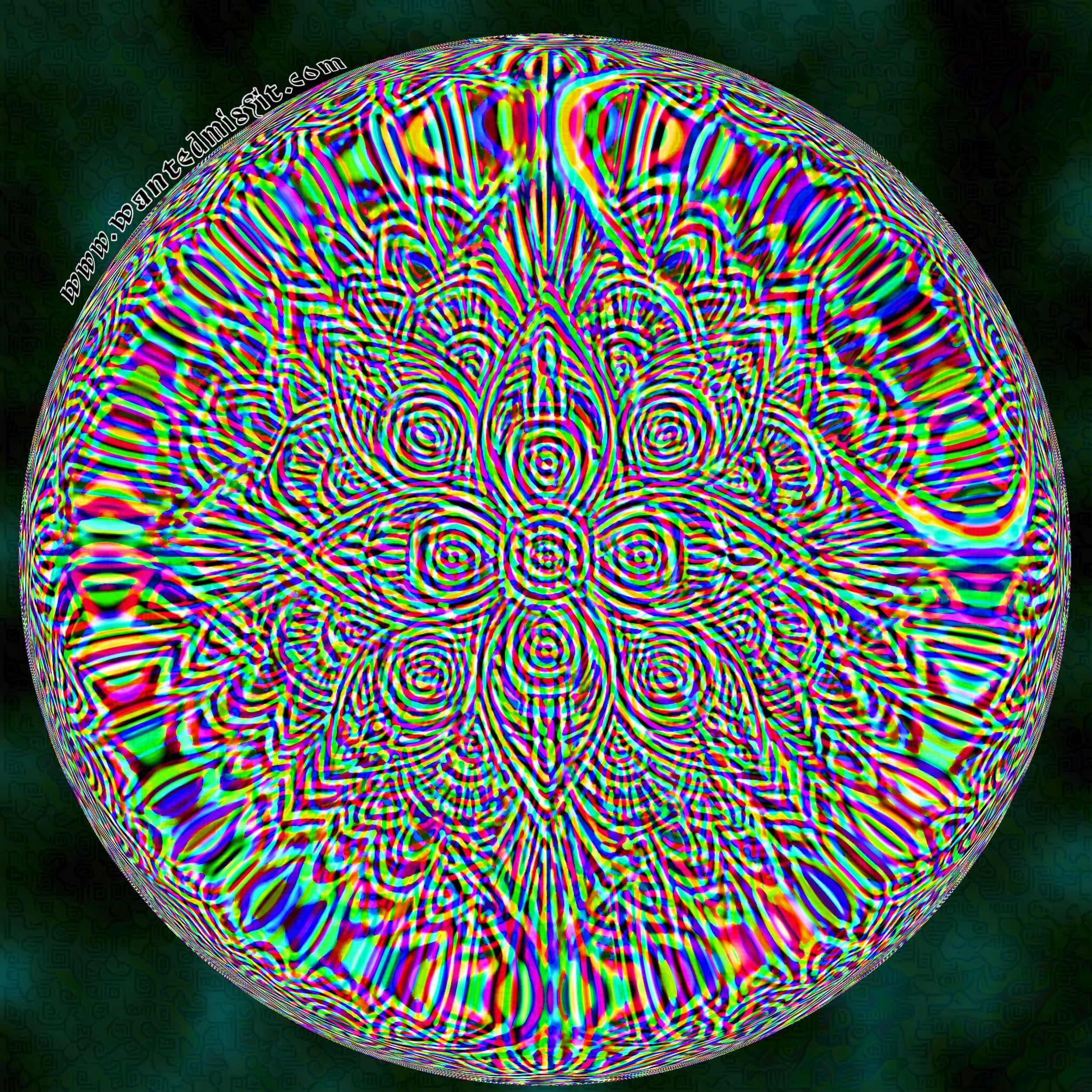 Untitled19_20260528202223.jpg