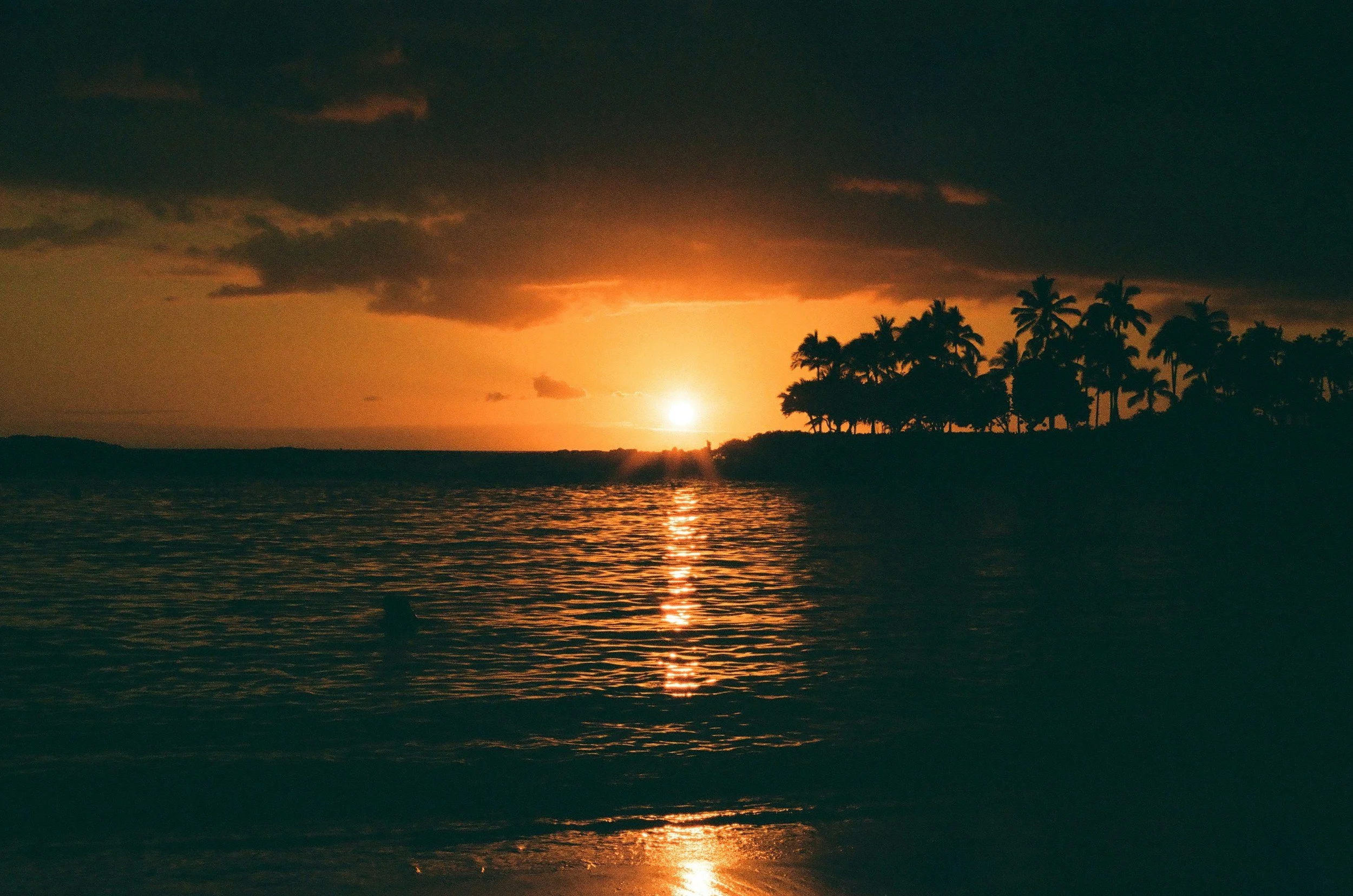 Sunset over a tropical beach with silhouette palm trees and calm water.