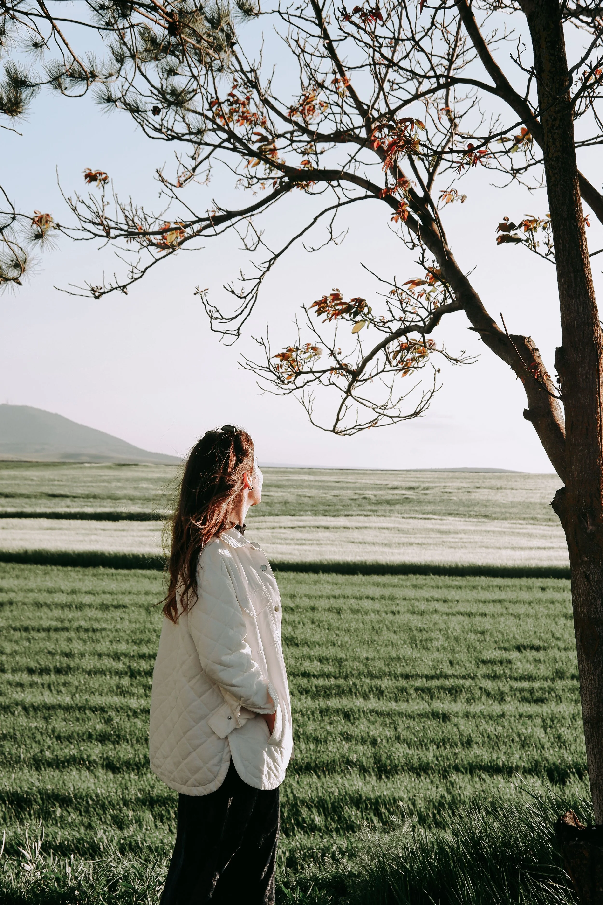 A Free Guide to Prepare for your first Mediation!