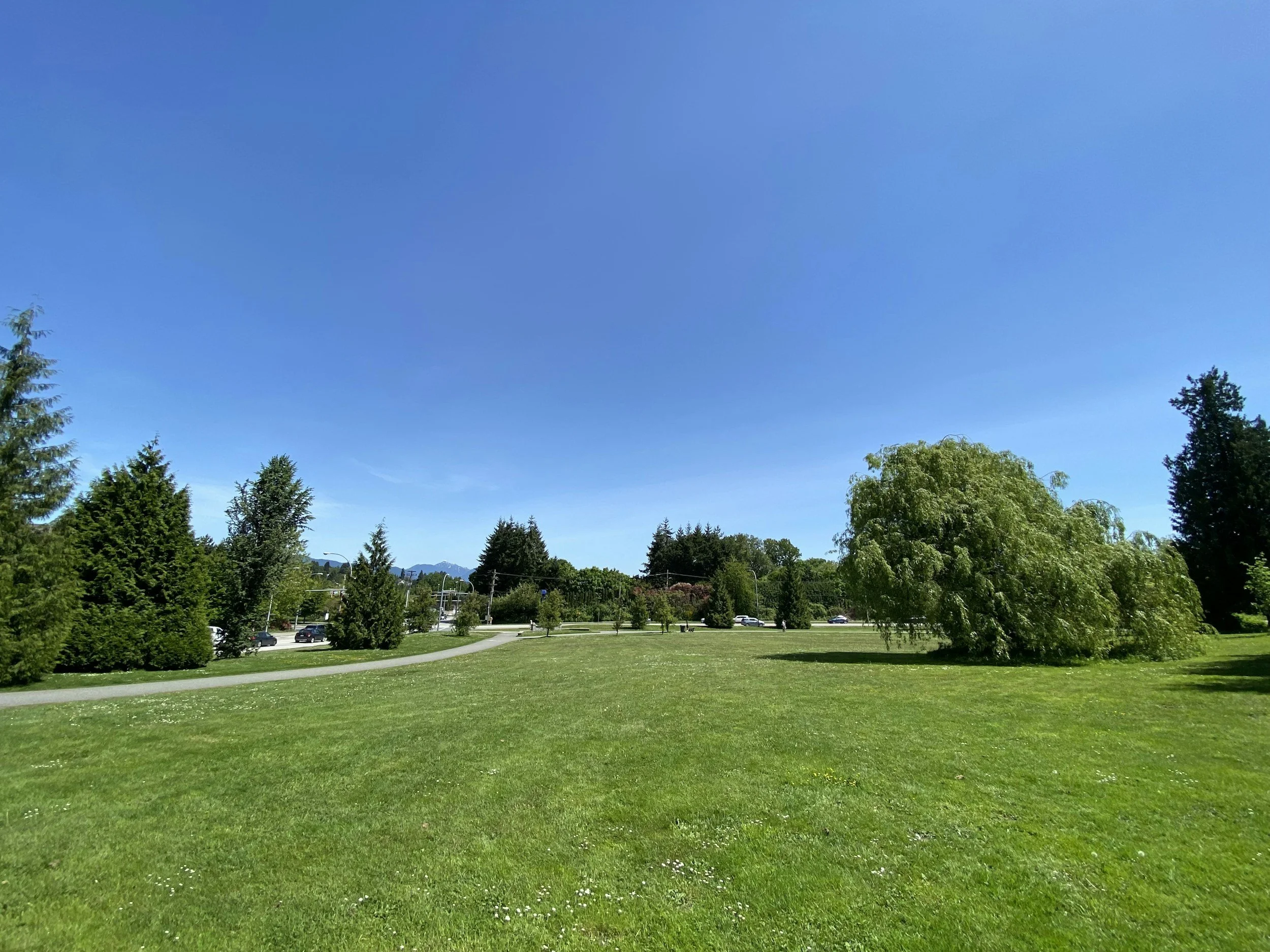 A park with green grass, trees, and a clear blue sky. There is a parking lot with cars visible in the background.