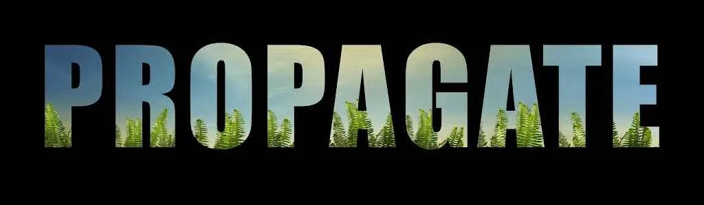 USC Shoah Foundation