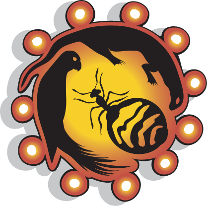 Pintubi Anmatjere Warlpiri Media