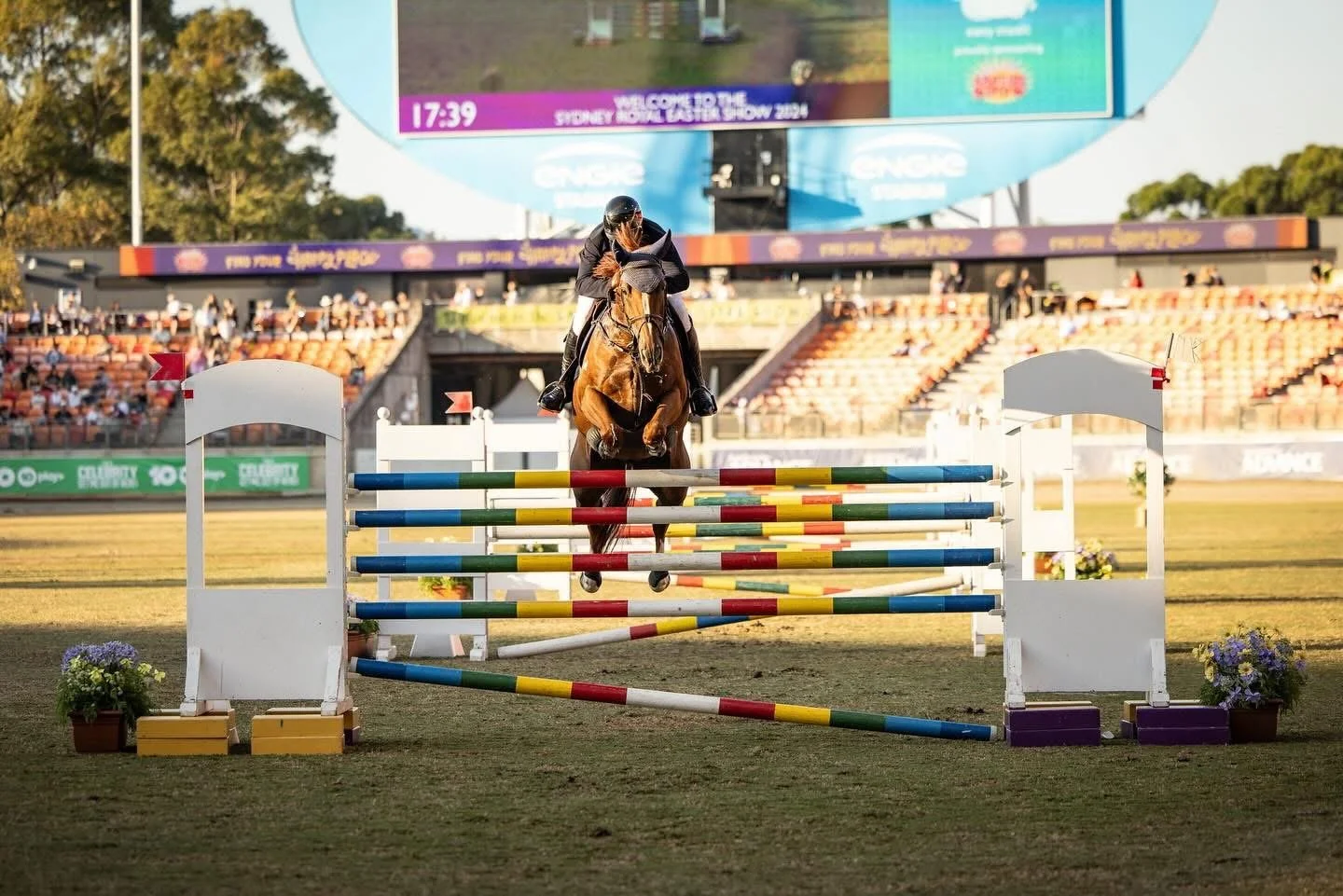 A rider on a horse jumping over a hurdle in an equestrian competition, with a stadium and large digital screen in the background.