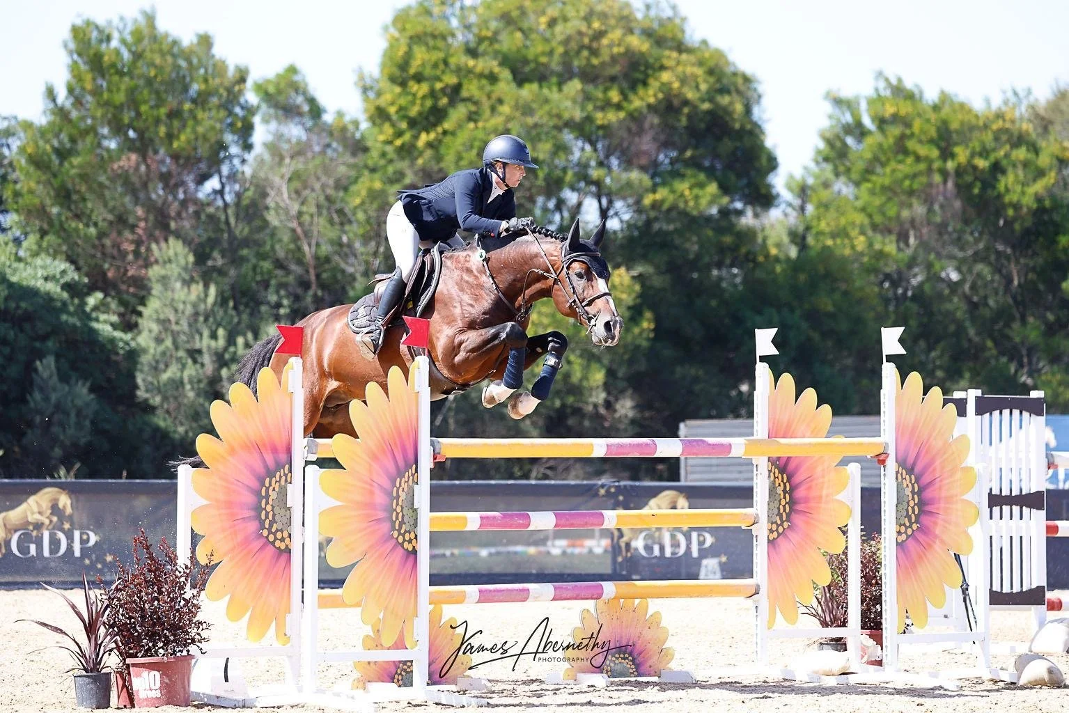 A rider in formal riding attire on a brown horse with black mane and tail, jumping over an obstacle decorated with sunflower images during an equestrian show. The background features green trees and a gravel arena.