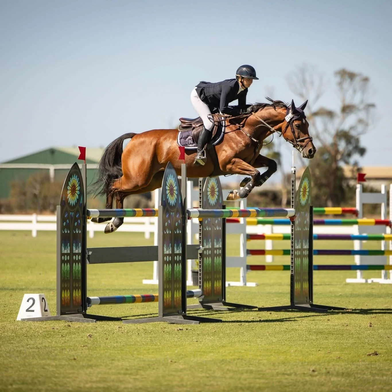 A horse and rider participating in a show jumping competition, clearing a colorful obstacle on a grassy field, with a background of trees and a partly cloudy sky.