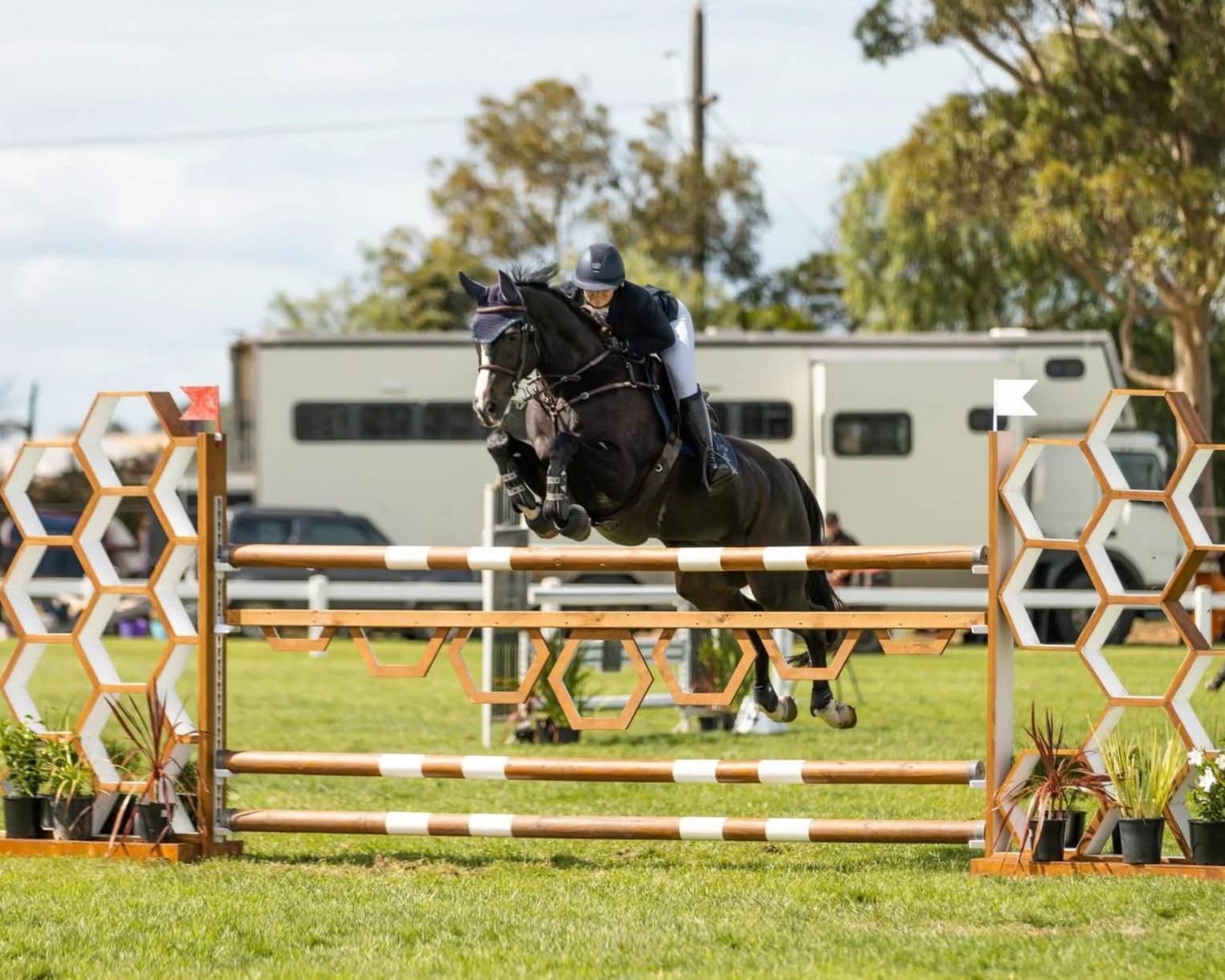 A jockey riding a dark horse jumps over a wooden obstacle during a horse jumping competition on a grassy field, with trees and a recreational vehicle in the background.