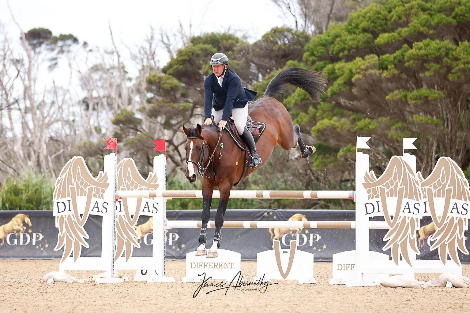 A rider wearing a navy blazer, white shirt, and helmet jumps over an obstacle on a brown horse during an equestrian event, with trees in the background and decorative obstacle with eagle wings and the words 'DIFFERENT' and 'GOP'.