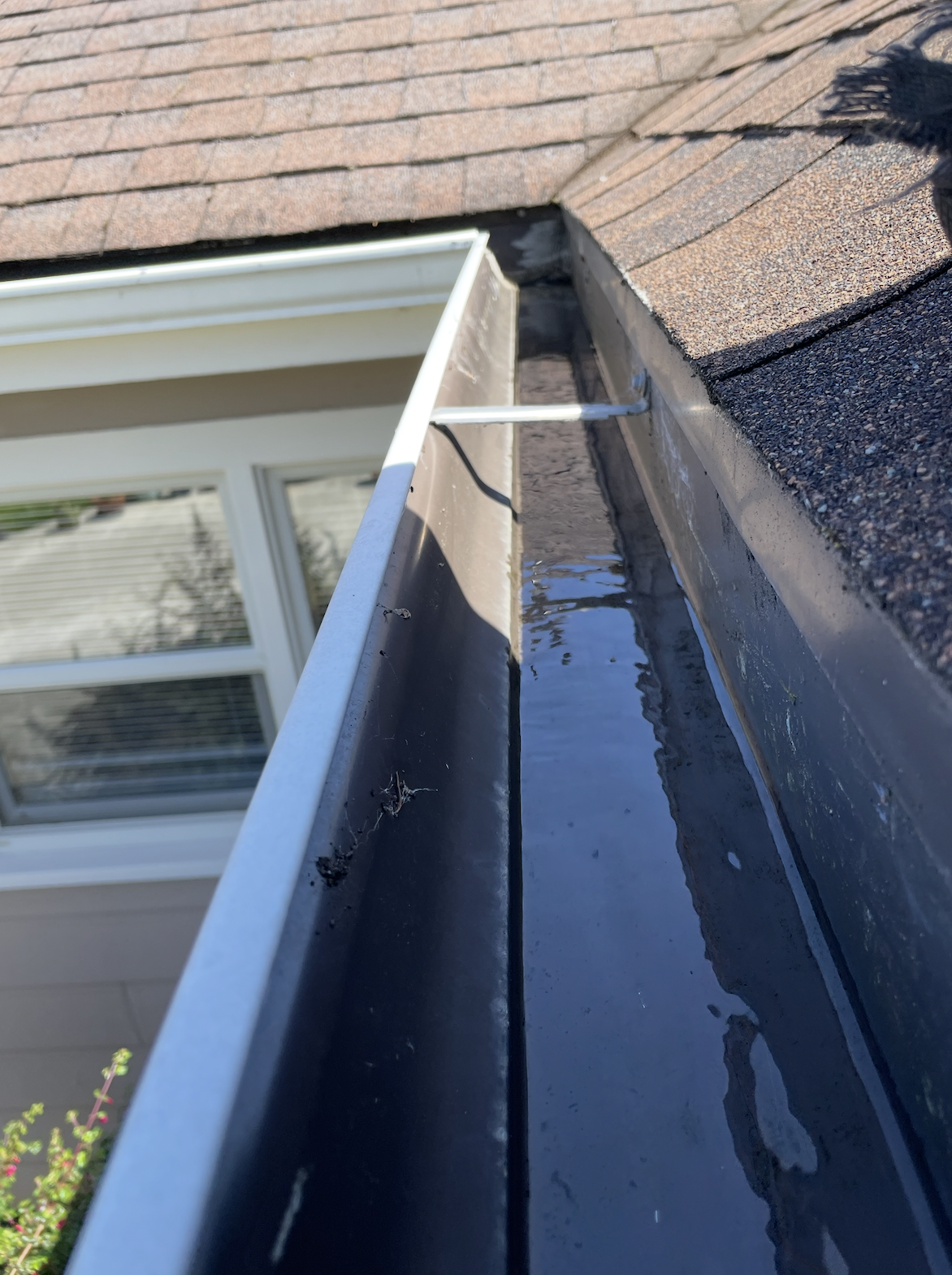 Roofing brush cleaning moss from asphalt shingle roof.