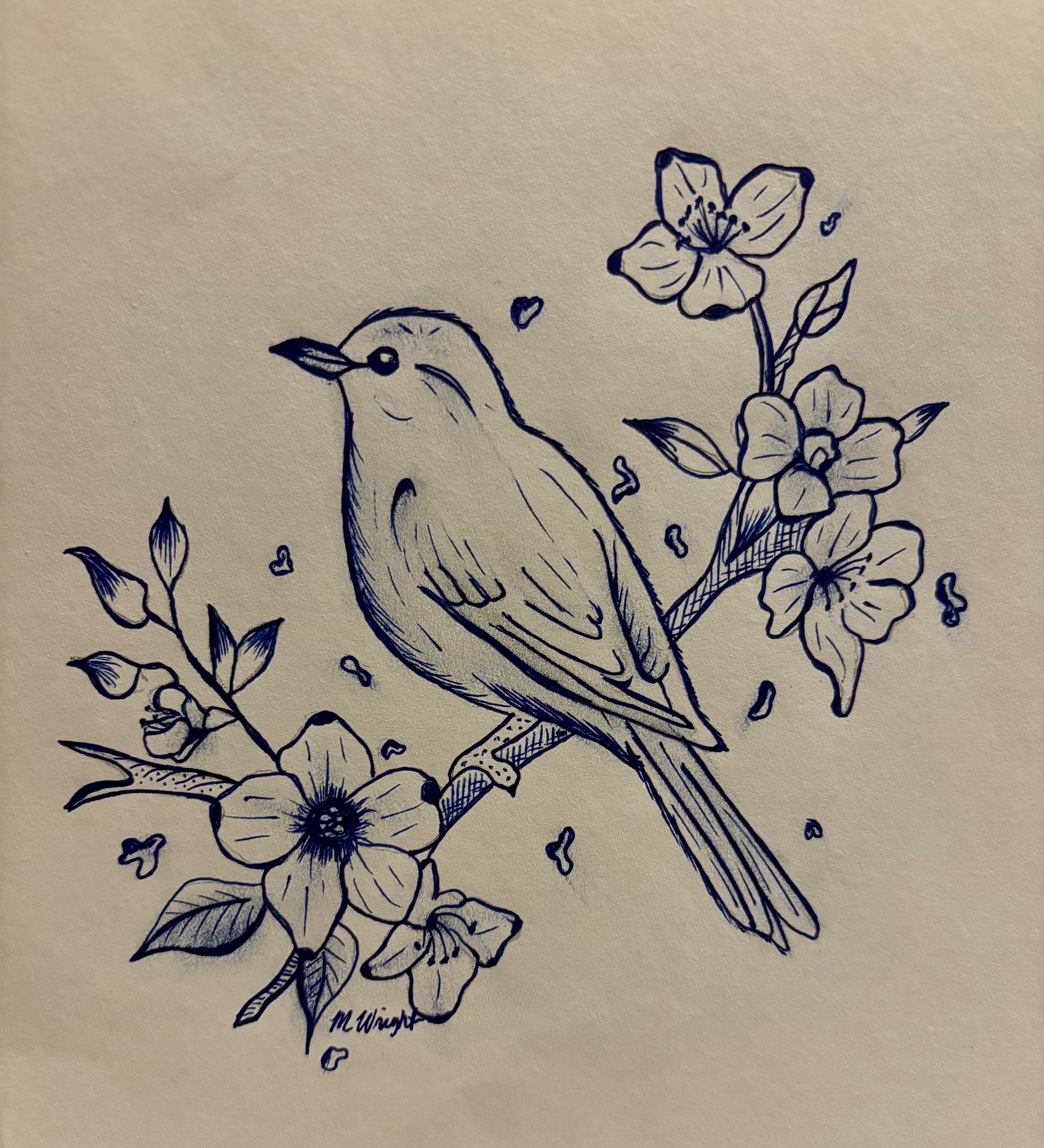 Little bird