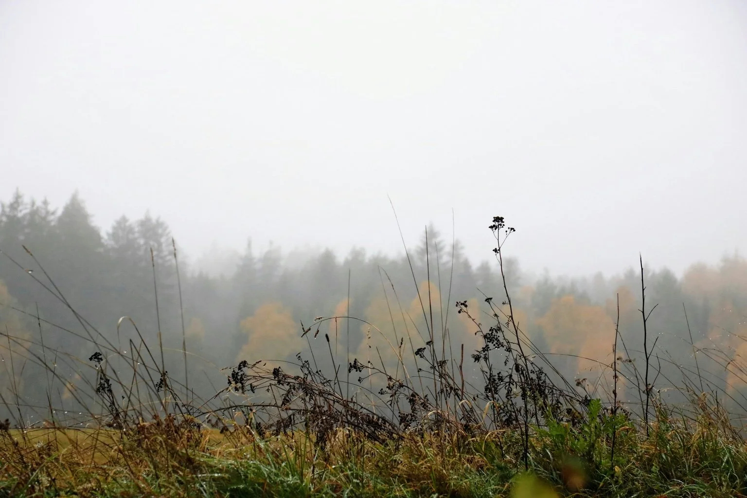 Quiet consistency, reconsidered