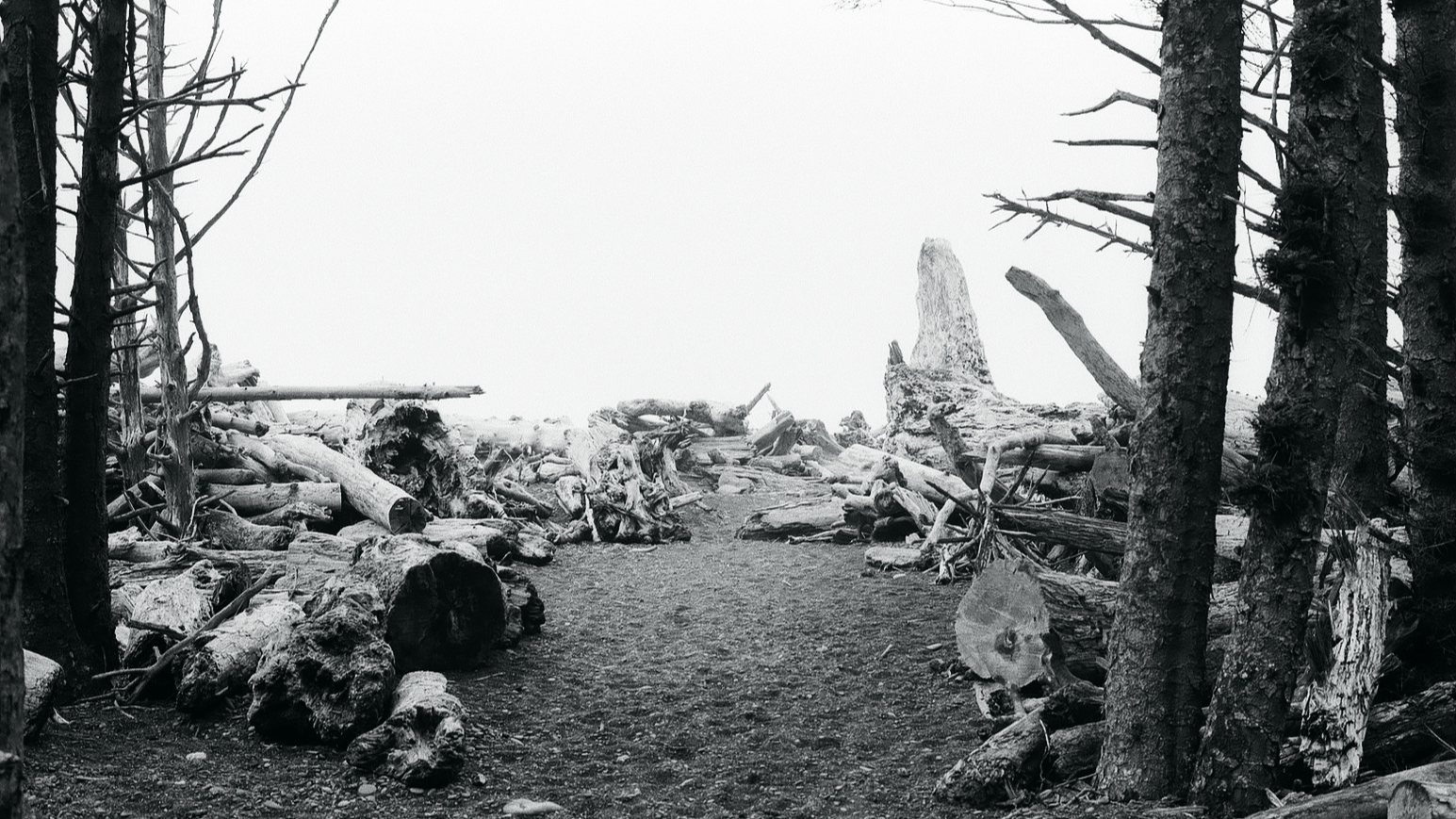 000678480026.jpeg - Edited.png