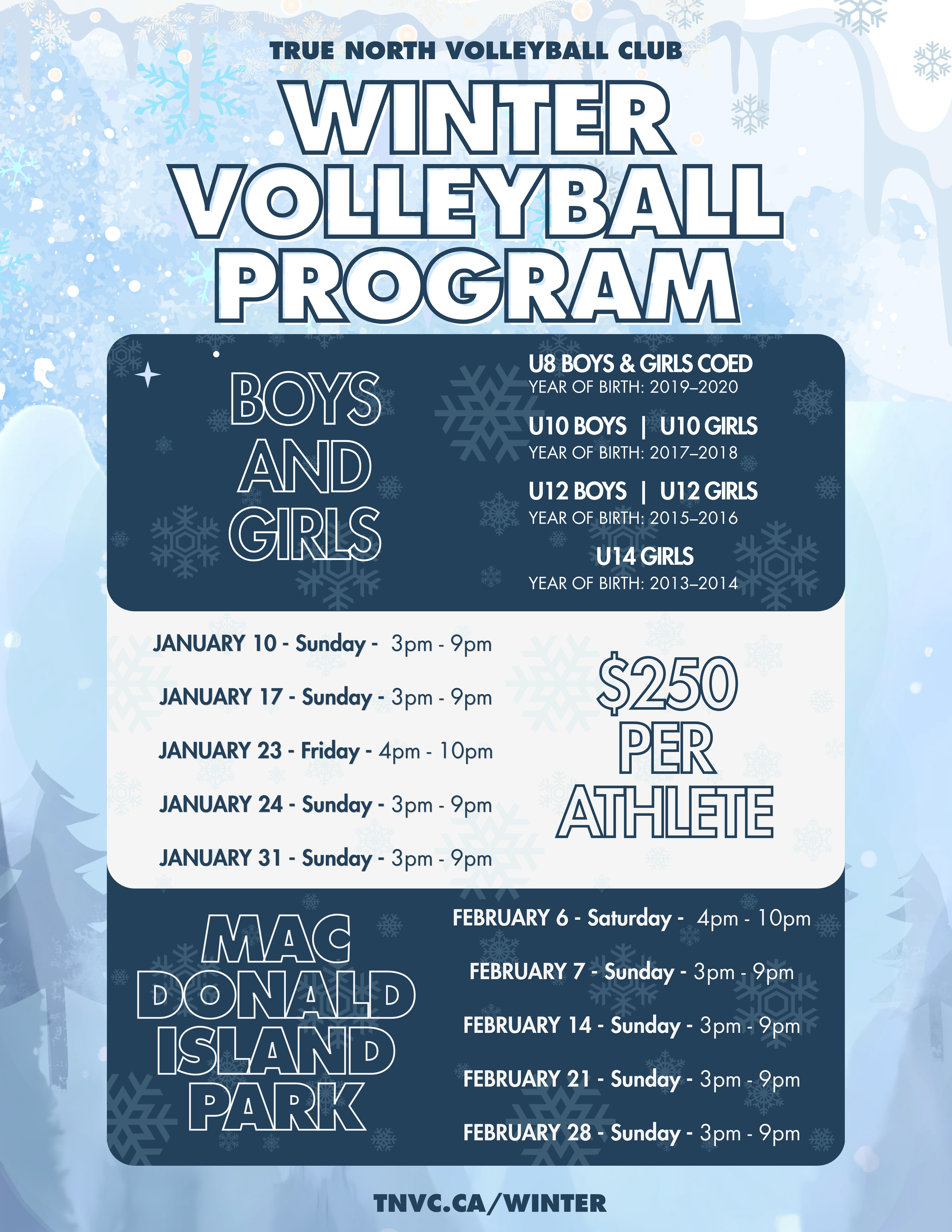 Blue winter-themed flyer with snowflakes and icy background promoting a Winter Volleyball Program hosted by True North Volleyball Club. Includes schedule, age groups, birth years, and fees.
