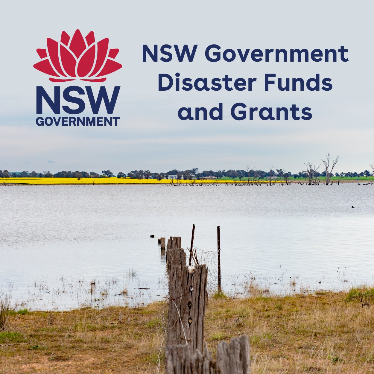 NSW Disaster Funds &amp; Grants