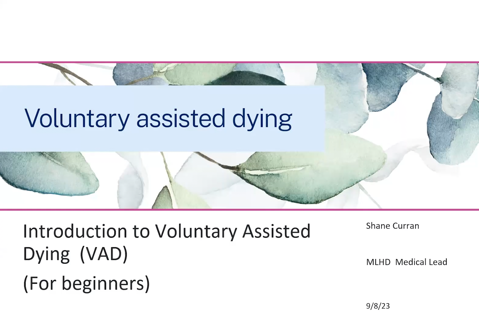 Voluntary Assisted Dying webinar: what you need to know