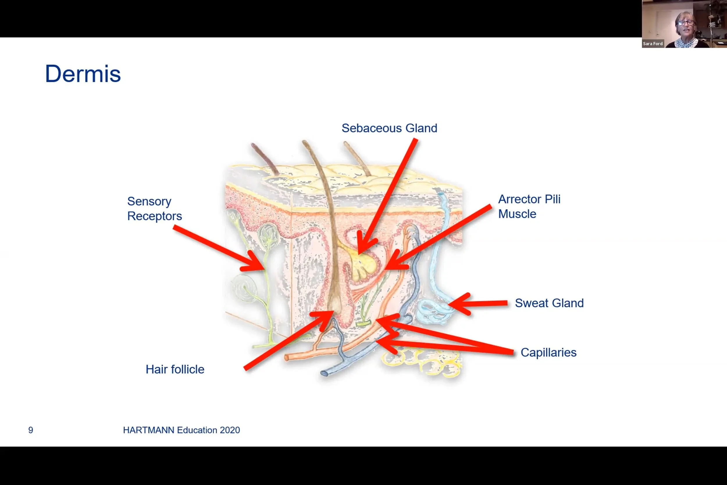 Wound Care in General Practice Webinar Series – Session One