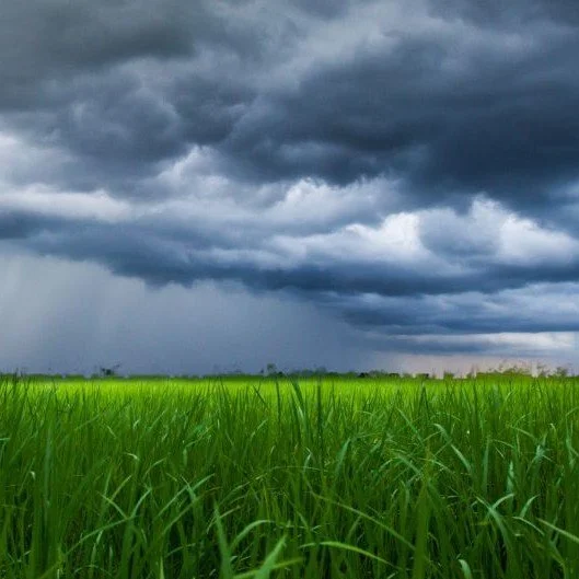 Spring storms can trigger asthma – even if you've never had it before  