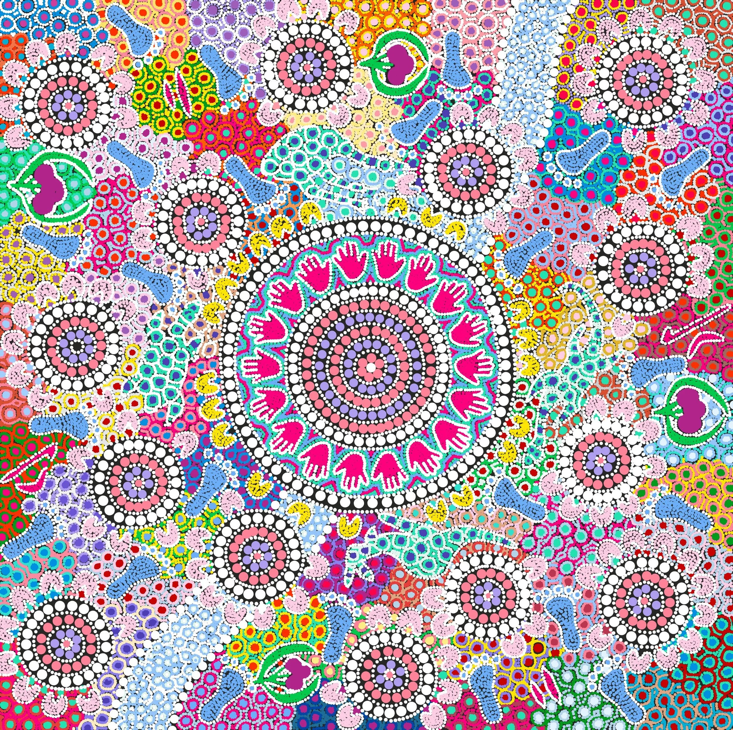 MPHN celebrates Aboriginal health workers and practitioners in the Murrumbidgee