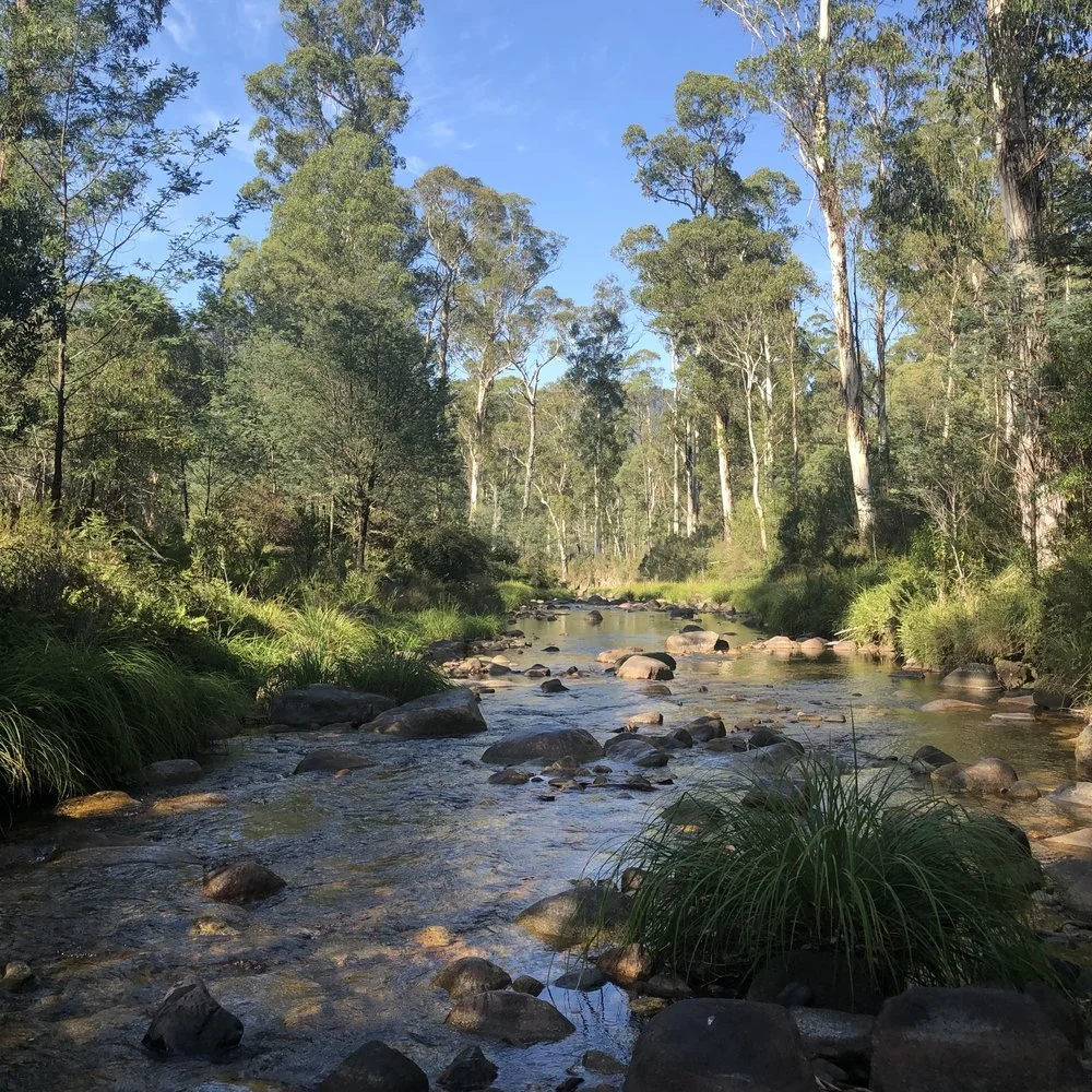Giving kids a break from the drought