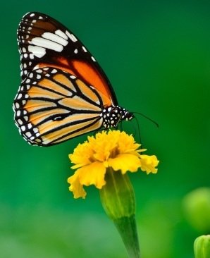 How to seek mental health support