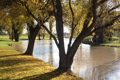 SAVE THE DATE: free safeTALK workshop coming soon!