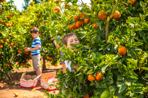 Murrumbidgee childhood immunisation rates highest in Australia