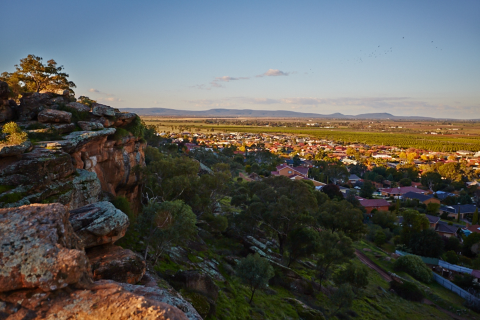 Riverina Pulse Dec/Jan