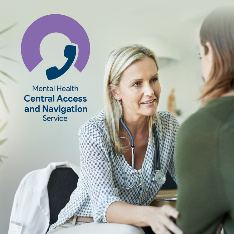 Mental health &amp; AOD Central Access and Navigation Service – digital referral portal