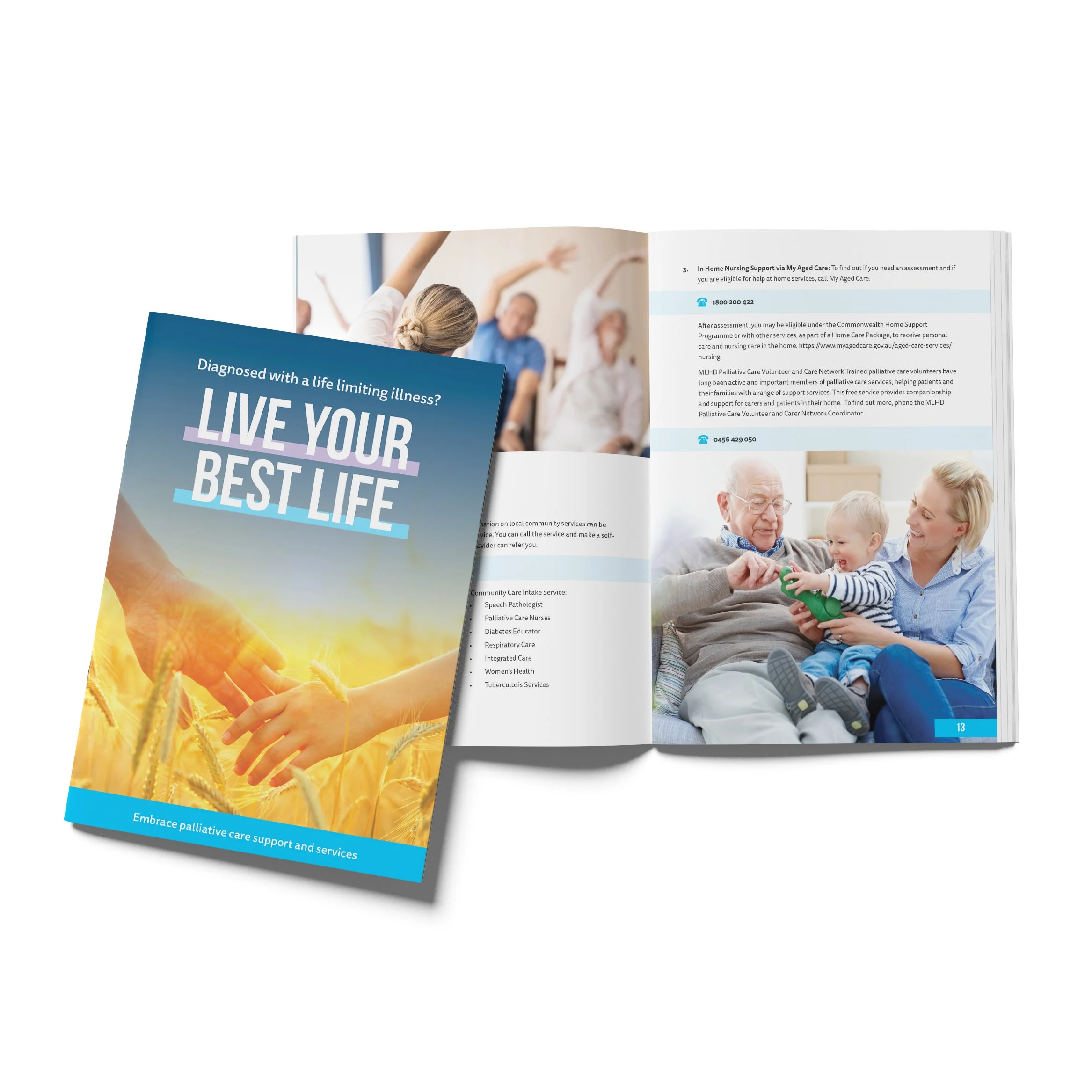 Palliative Care Support and Services Guide