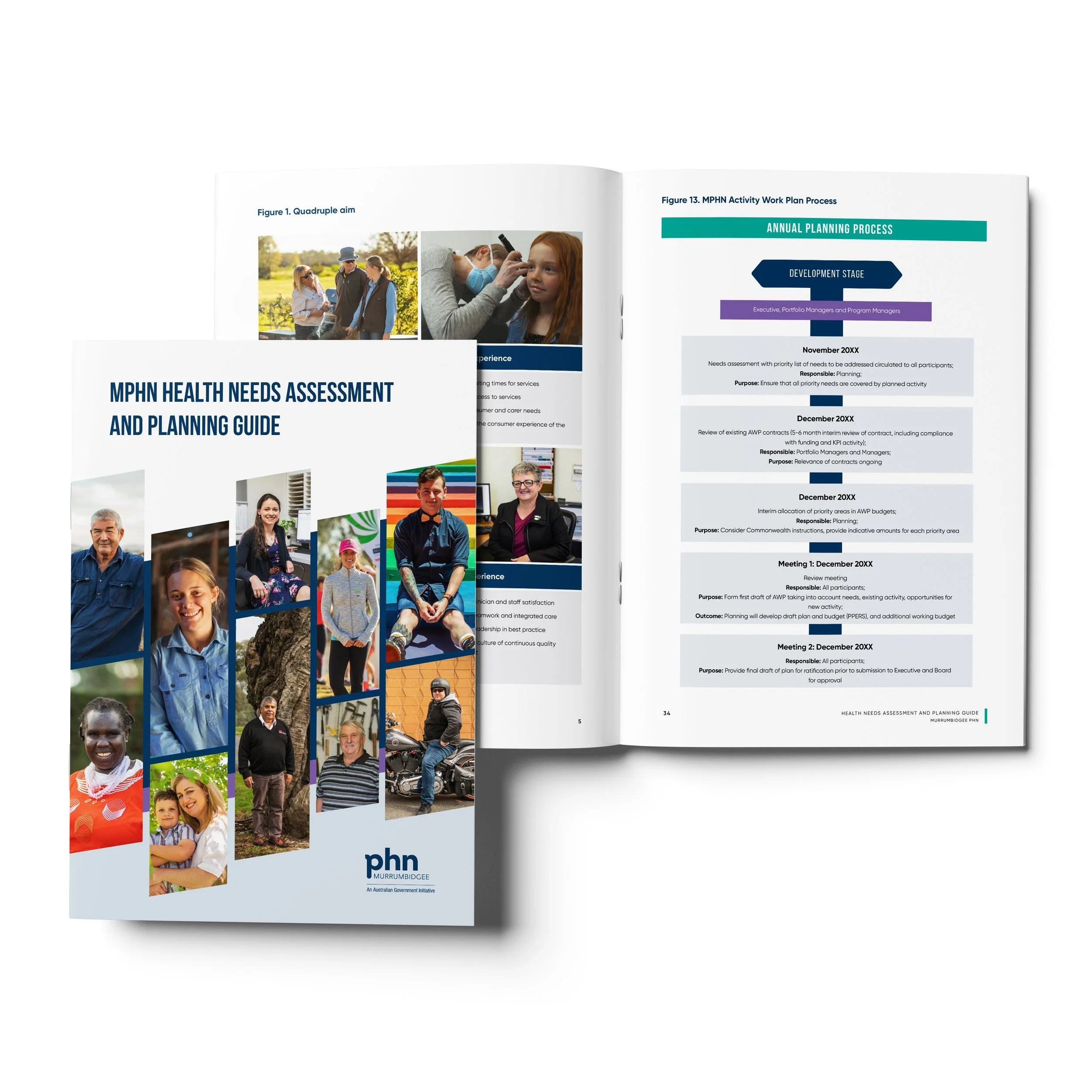 Health Needs Assessment &amp; Planning Guide