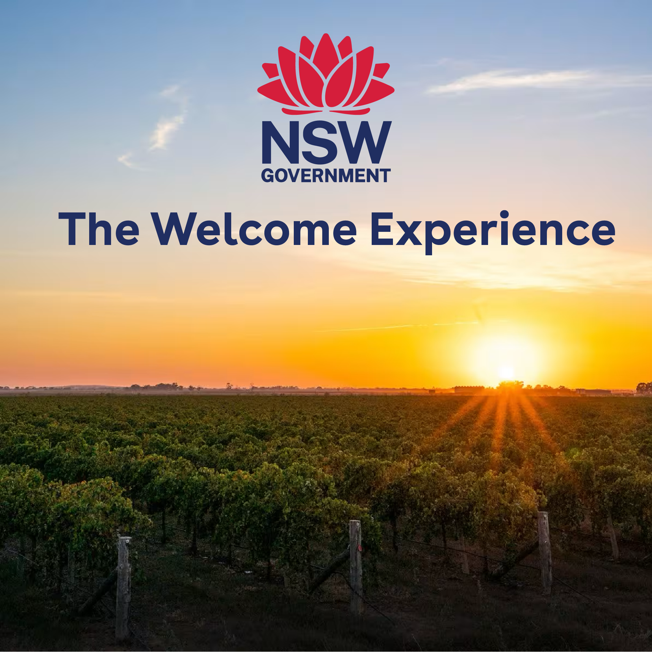 The Welcome Experience