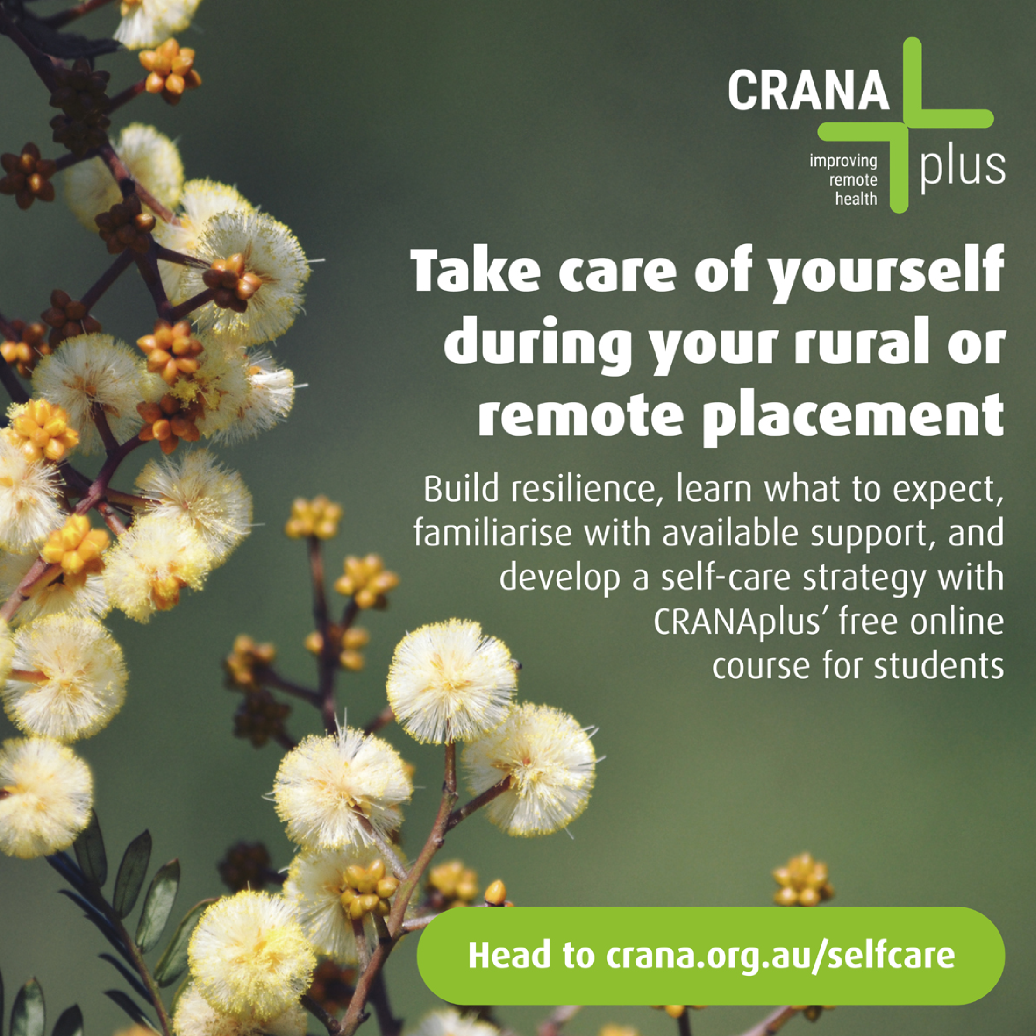 Adapting Self-Care Practices During Clinical Placement